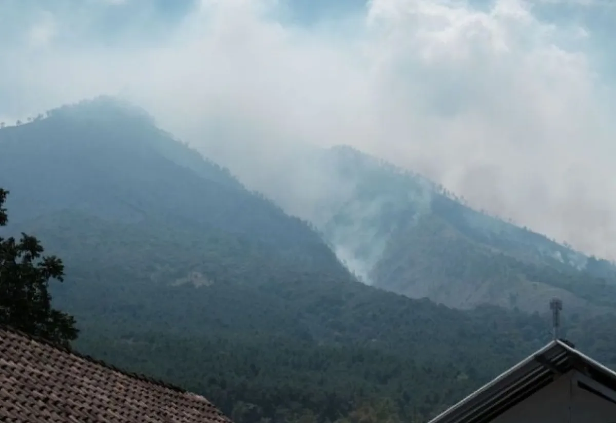 Kebakaran Arjuno, Pasuruan Siapkan Anggaran Perbaiki Pipa Air Terdampak