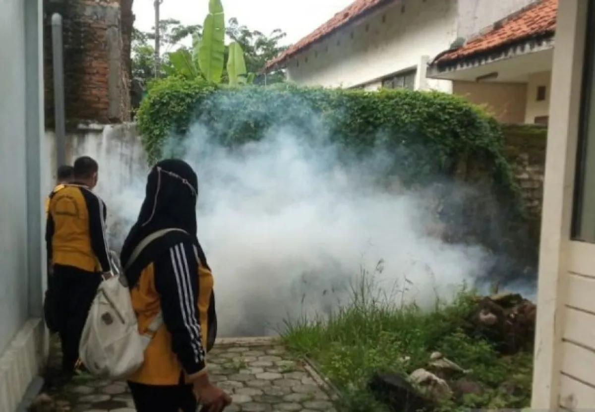 Tekan Lonjakan Kasus Demam Berdarah, Pemkab Pamekasan Gencarkan PSN