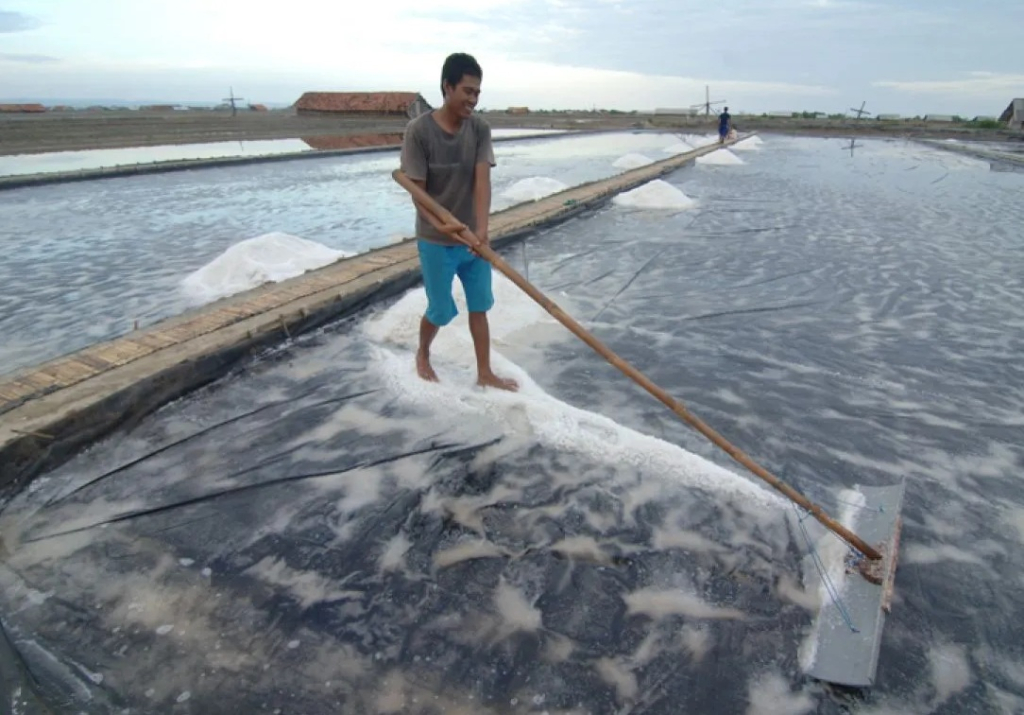 Ilustrasi. Aktivitas petambak garam. SP/ MLG