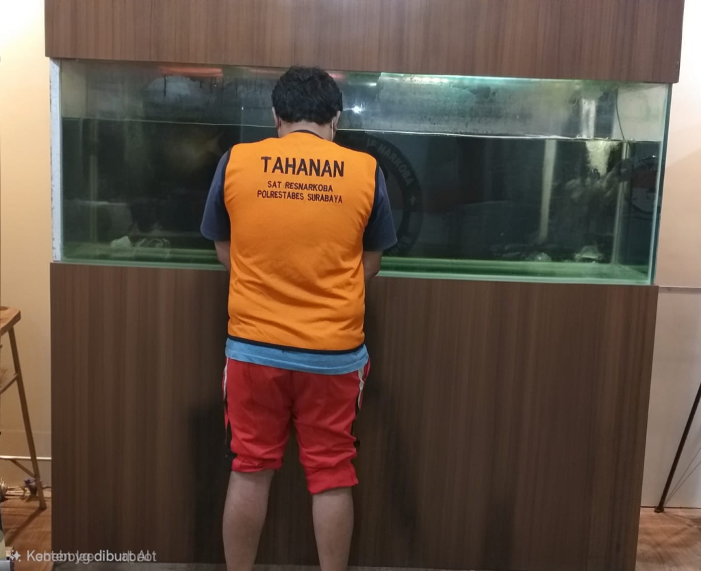 Foto: Pelaku saat diamankan Sat Reskoba Polrestabes Surabaya. SP/Alqomar