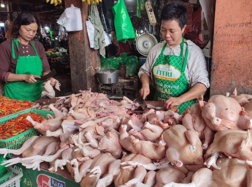 Ilustrasi. Penjual daging ayam di salah satu pasar tradisional Kabupaten Sampang. SP/ SMP