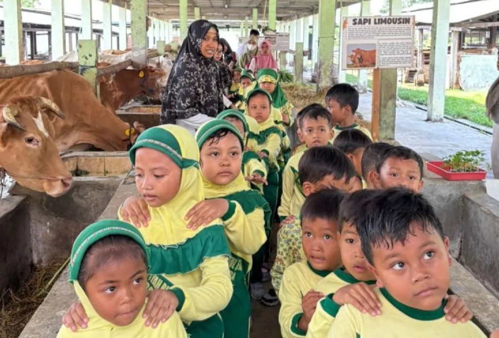 Siswa TK mengikuti kegiatan pengenalan peternakan dalam program Edufarm di UPT Pembibitan dan Pengolahan Pakan Ternak Mantup, Lamongan. SP/ LMG