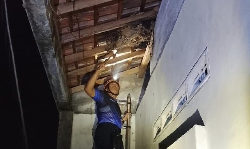 Tim OTT Damkar Nganjuk evakuasi sarang tawon vespa yang mematikan. SP/ NGJ