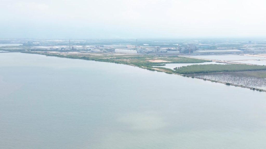 Dugaan pencaplokan wilayah laut kembali mencuat di pesisir Desa Manyarejo, Kecamatan Manyar, Kabupaten Gresik. SP/ MAIDID