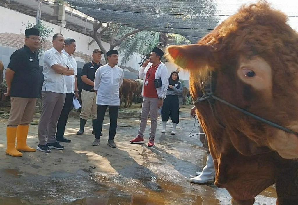 Ilustrasi. Wali Kota Eri Cahyadi saat meninjau layanan pemotongan hewan kurban di Rumah Pemotongan Hewan (RPH) Surabaya. SP/ SBY