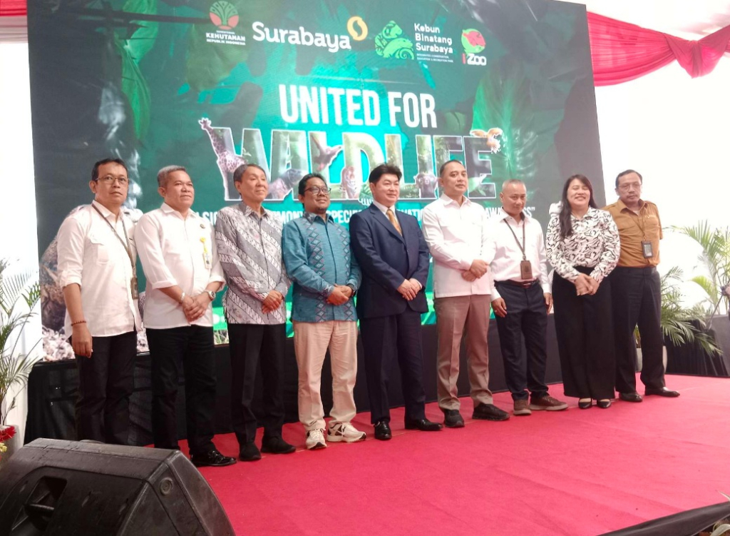 Peristiwa Bukti Konservasi Positif, KBS Surabaya Kirim Komodo ke Jepang untuk Breeding