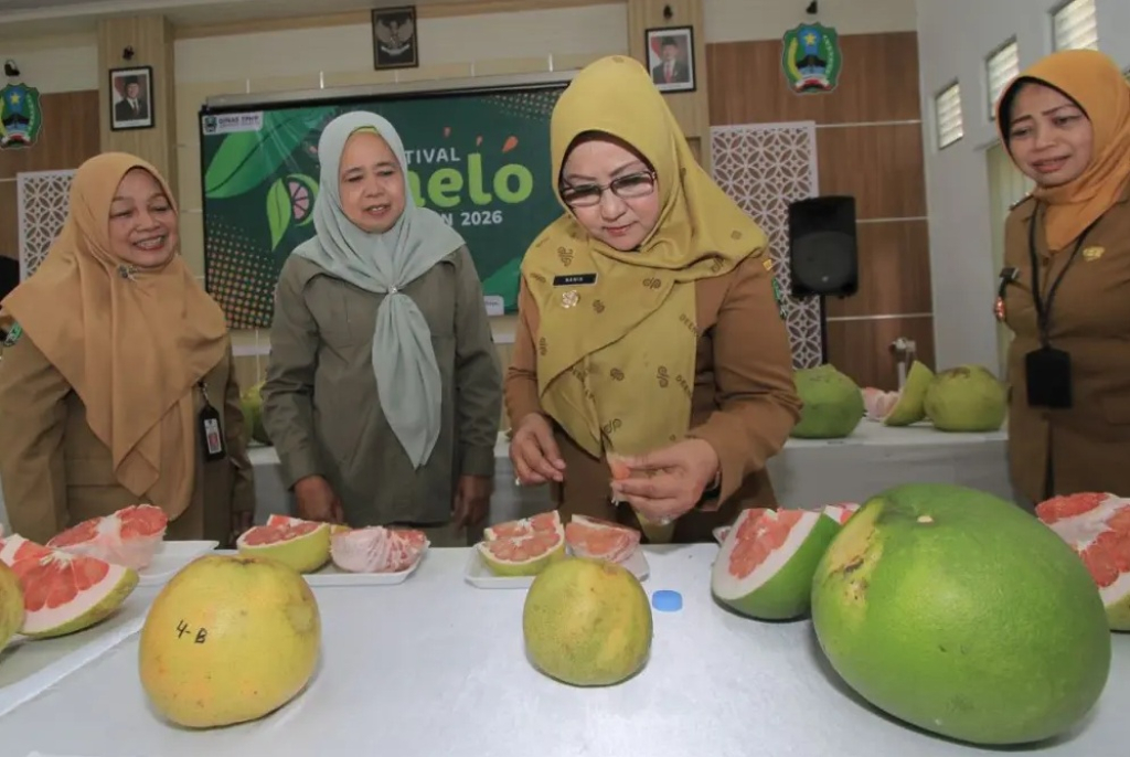 Kegiatan Festival Pamelo 2026 yang digelar Dinas Tanaman Pangan, Hortikultura, Perkebunan, dan Ketahanan Pangan (TPHPKP) Magetan di Kabupaten Magetan. SP/ MGT