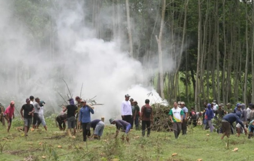 Kegiatan membersihkan lahan PTPN X di Desa Klatakan, Kecamatan Tanggul, Jember, Jawa Timur. SP/ JBR