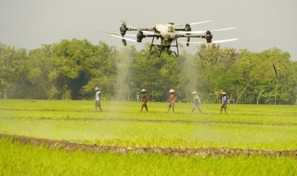Sejumlah petani tampak antusias memperhatikan dan menjajal teknologi drone sprayer untuk memupuk lahan. SP/ BJN