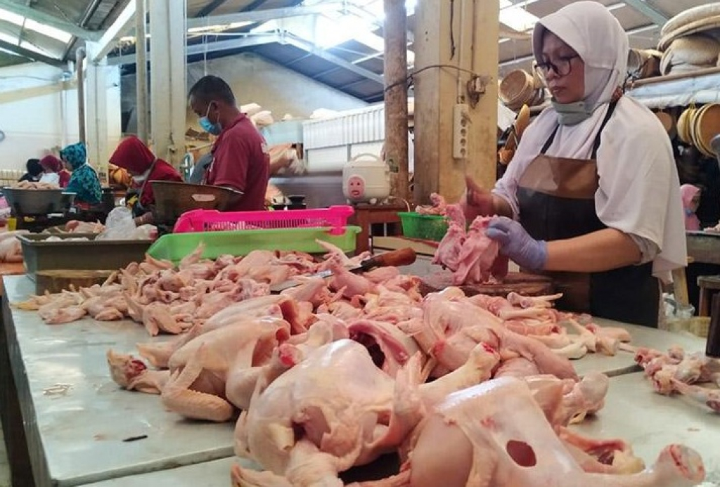Ilustrasi. Aktivitas pedagang daging ayam ras berjualan di Pasar Besar Madiun, Jawa Timur. SP/ MDN