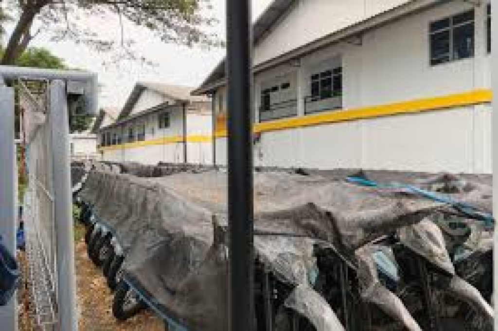 Peristiwa Istana Baru Akui Motor Listrik BGN Pemborosan