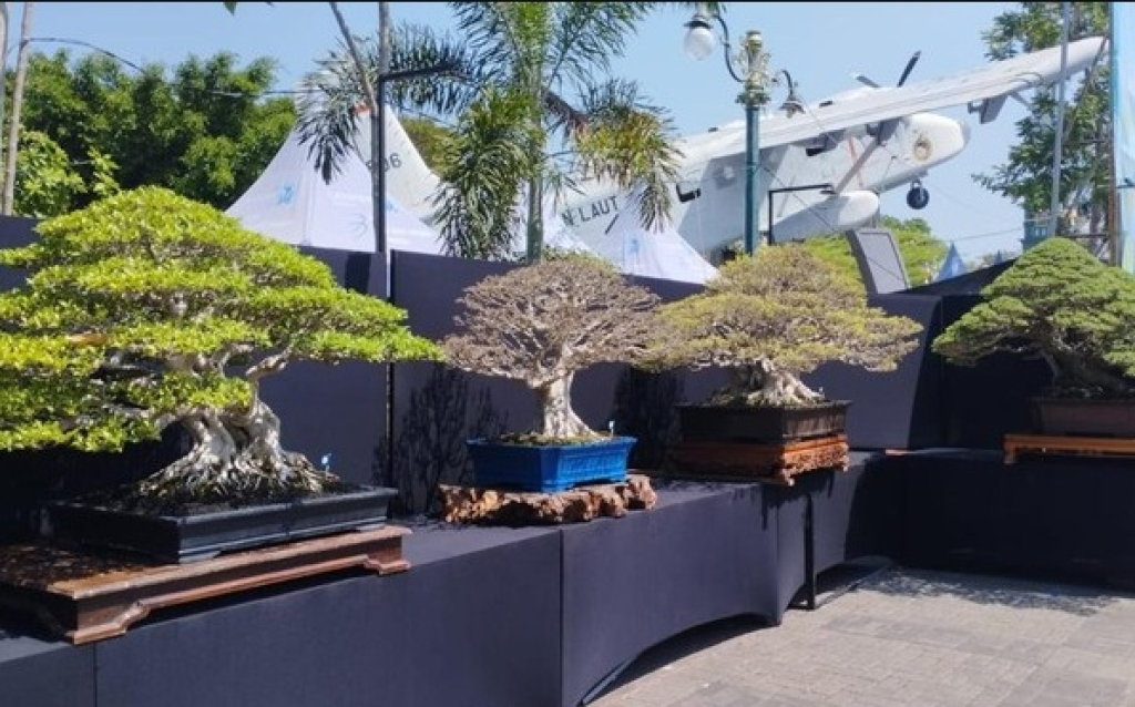 Pameran bonsai di Alun-alun Lamongan. Ada bonsai yang pernah ditawar hingga Rp1 miliar tapi tidak dilepas. SP/Foto:Eko Sudjarwo