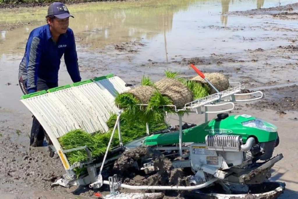 Seorang petani di Kota Madiun, Jawa Timur melakukan proses tanam di lahan persawahan. SP/ MDN