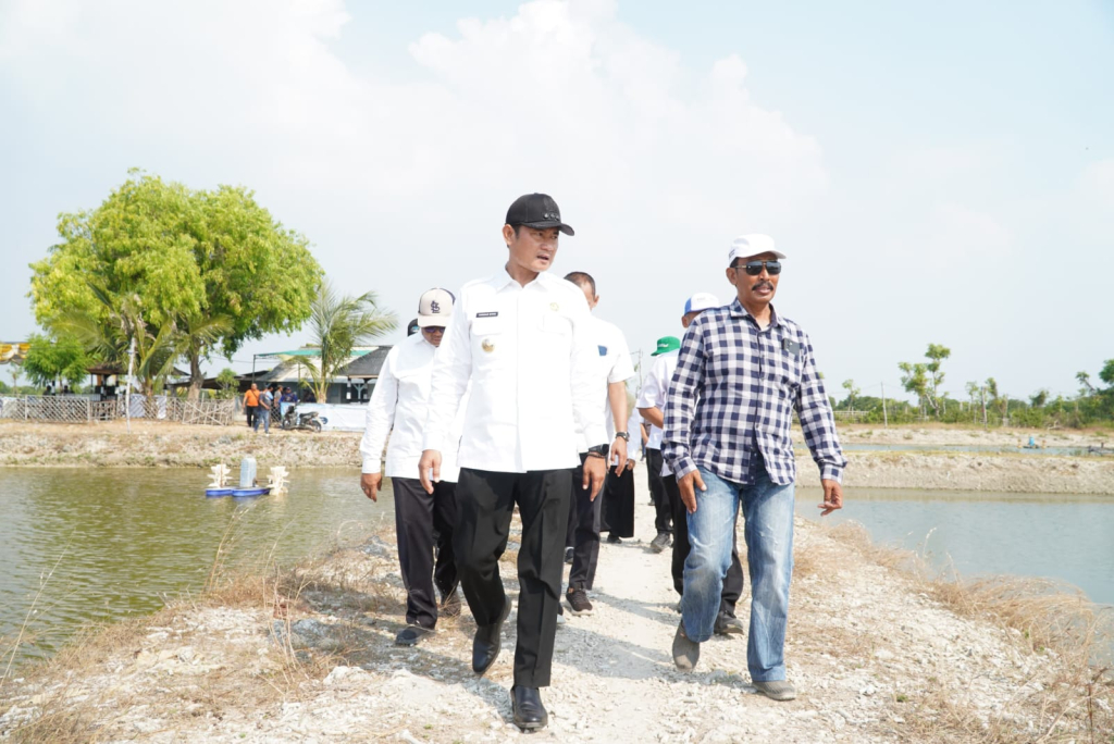 Bupati saat melihat langsung inovasi teknologi IoT dan aerator Venjet di Kampung Kerapu Brondong. SP/MUHAJIRIN