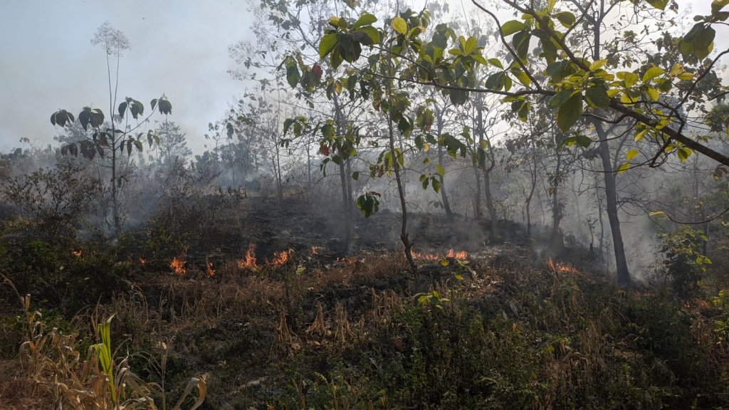 Kobaran api masih tampak membara membakar hutan produktif milik Perhutani di areal Bukit Angel yang ada di Desa Tulung Kecamatan Sampung. 