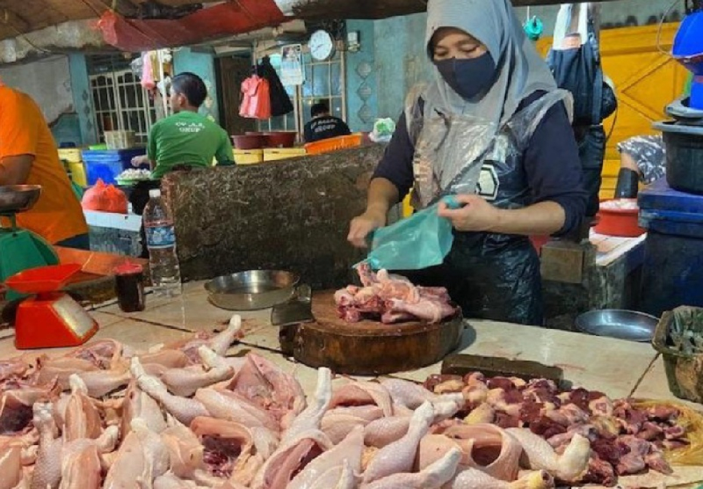 Ilustrasi. Salah satu penjual daging ayam potong di pasar tradisional Kota Malang. SP/ MLG