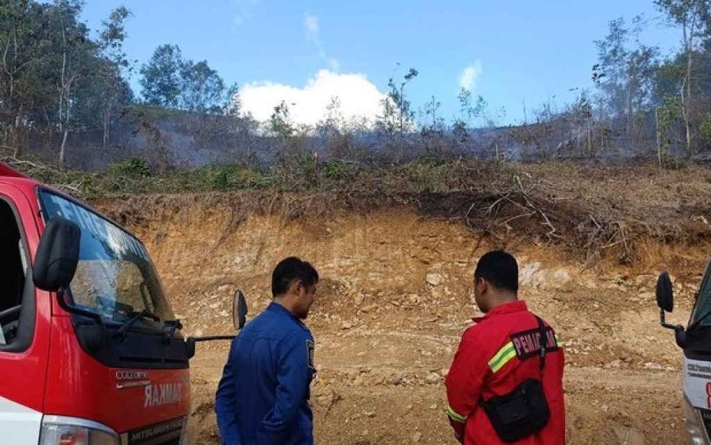 Lahan hutan 10 hektare di Desa Sambong, Kecamatan Kota Pacitan ludes terbakar. SP/Foto:IST
