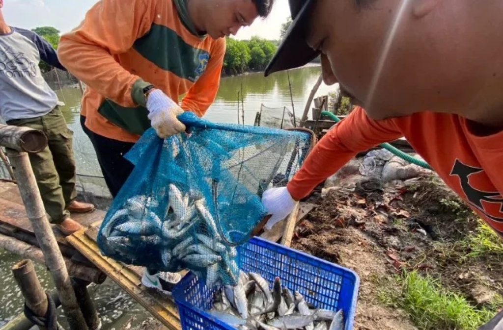 Peristiwa Lewat Konsumsi Ikan, Pemkot Surabaya Terus Kampanyekan Diversifikasi Protein