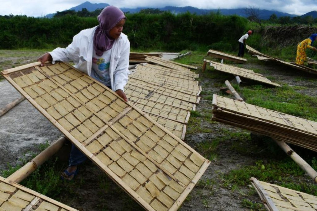 Ilustrasi. Salah seorang penjual usaha kerupuk sedang menjemur produksinya di musim kemarau. SP/ MDN