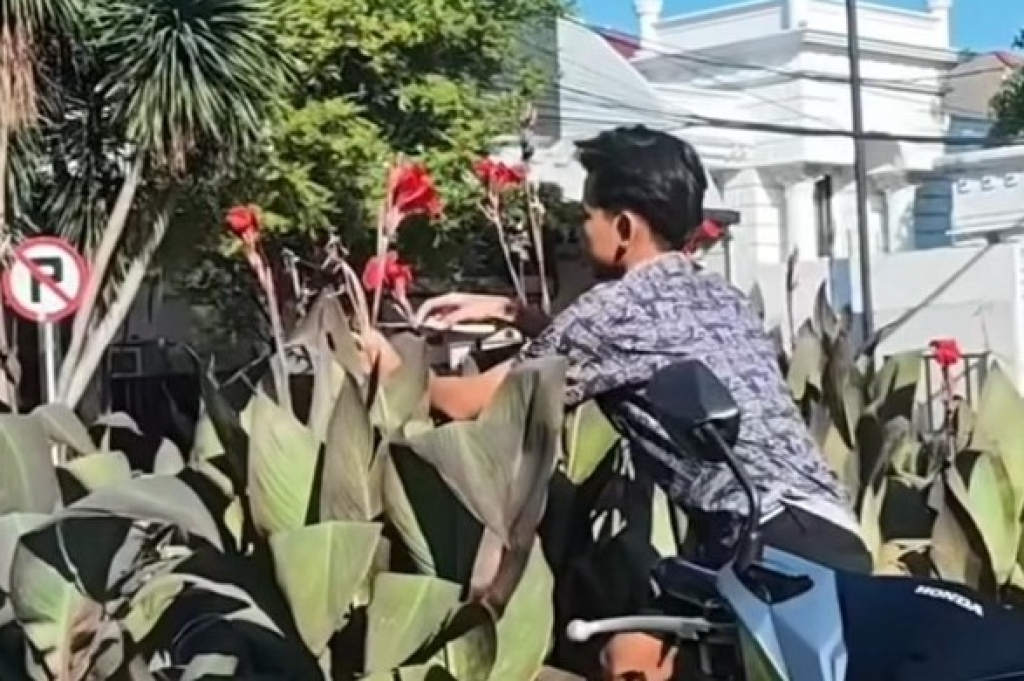 Tangkapan layar. Rekaman video viral pemuda di Surabaya curi bunga di jalur hijau. SP/IST
