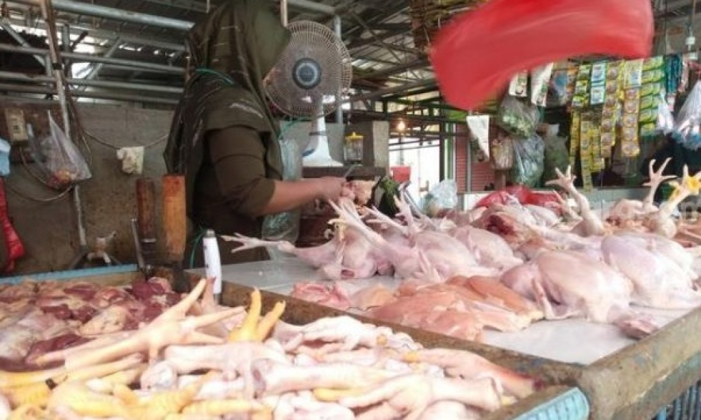 Ilustrasi. Salah satu penjual daging ayam di pasar Ngawi. SP/NGW