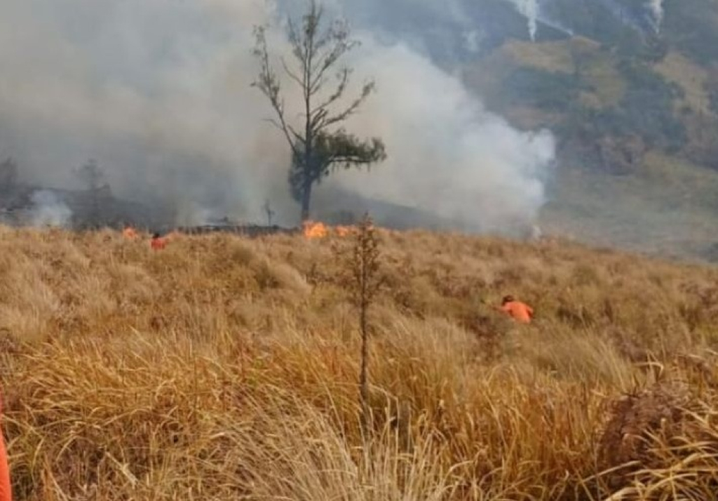 Petugas gabungan memadamkan kebakaran di kawasan Gunung Bromo yang terus meluas. SP/PRB