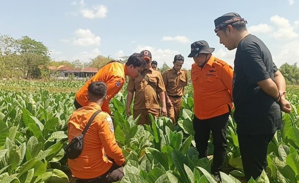 BPBD Sampang meninjau lokasi suara gemercik aliran air misterius di lahan tembakau. SP/SMP