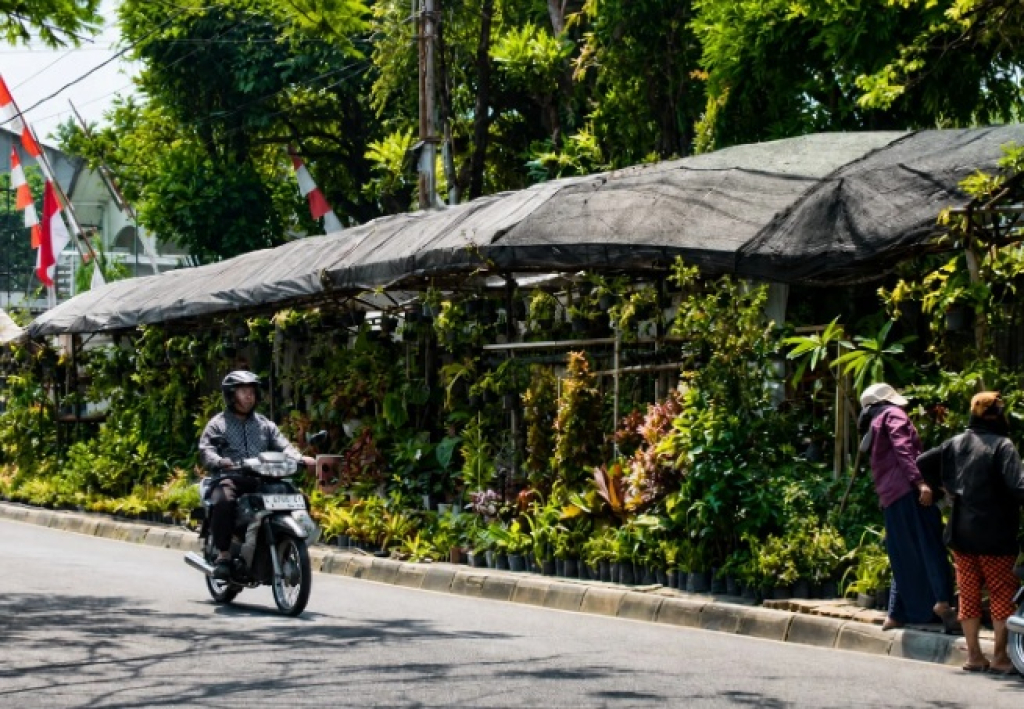 Area Jalan Bukit Berbunga Sidomulyo Kota Batu tengah diusulkan untuk penataan dan menyiapkan sentra terpadu khusus untuk tanaman hias. SP/BTU