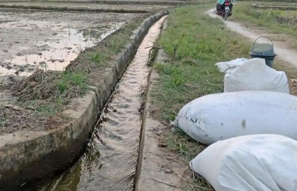 Saluran air di areal persawahan Kecamatan Trimurjo harus dipompa agar dapat terdistribusi ke petakan sawah petani setempat. SP/MJK