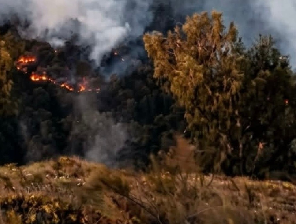 Penampakan kebakaran Gunung Arjuno-Welirang kawasan Tahura Raden Soerjo. SP/MLG