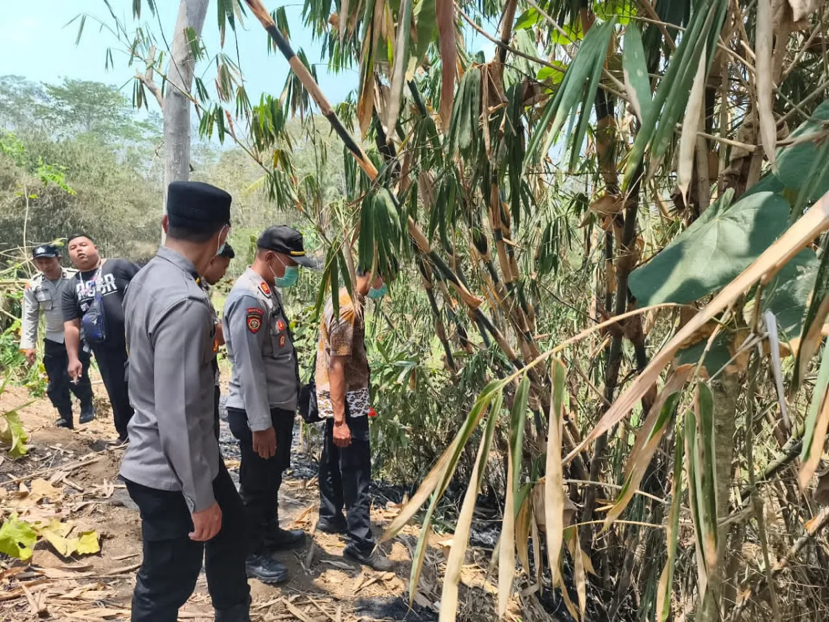 Kakek 81 Tahun di Blitar Ditemukan Tewas Terbakar di Lahan Bambu