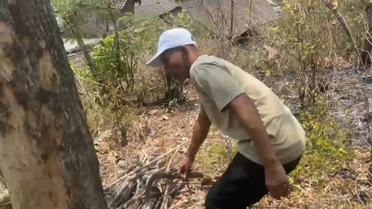 Karhutla di Ponorogo Makan Korban, Nenek 70 Tahun Tewas Terpanggang 