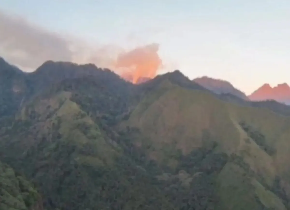 Alas Lali Jiwo Gunung Arjuno Sempat Terbakar, Kini Telah Terkendali, Masih Terus DIpantau