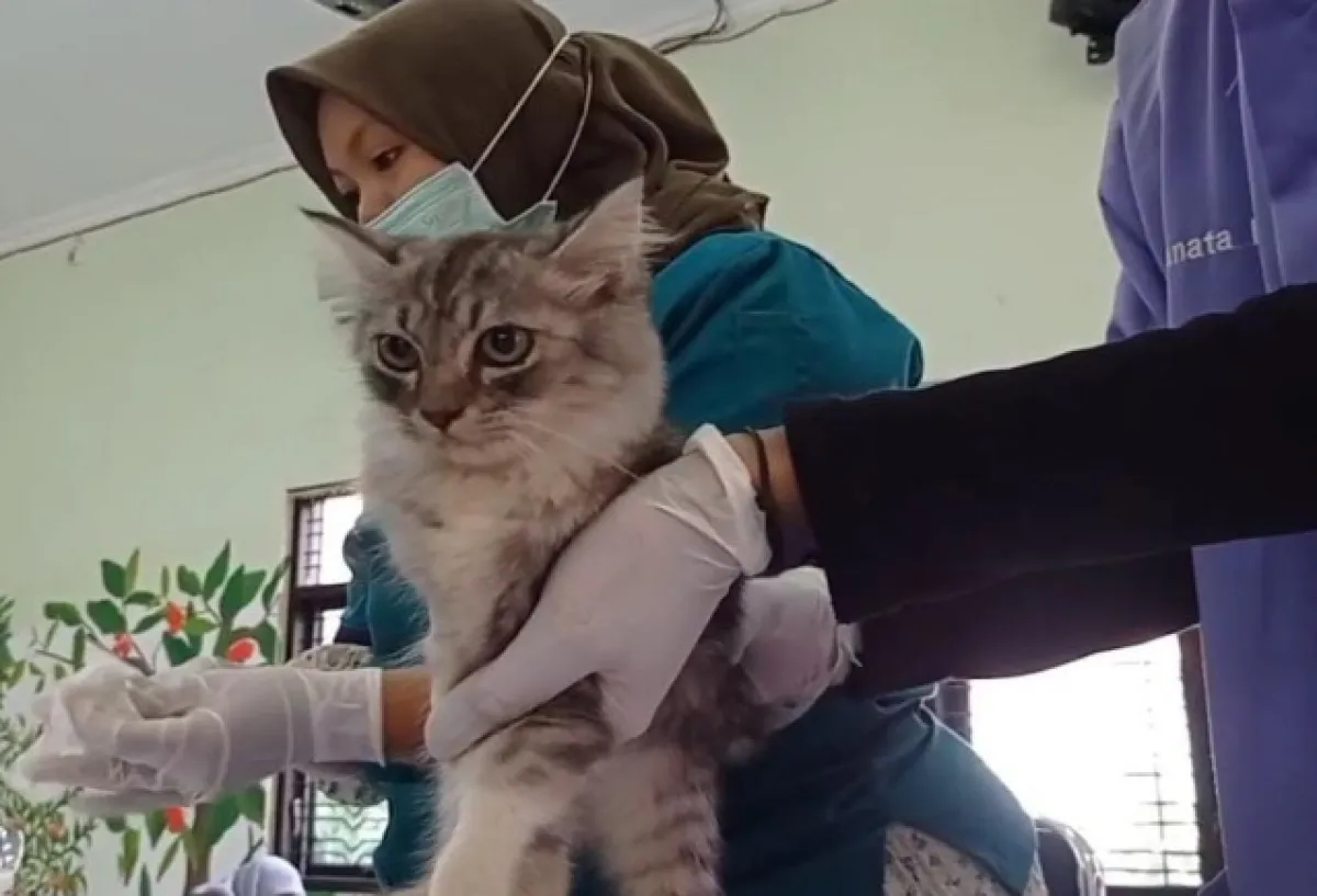 Lewat Layanan Pesankeling, DKPP Kota Madiun Peduli Kesejahteraan Hewan di Tingkat Kelurahan