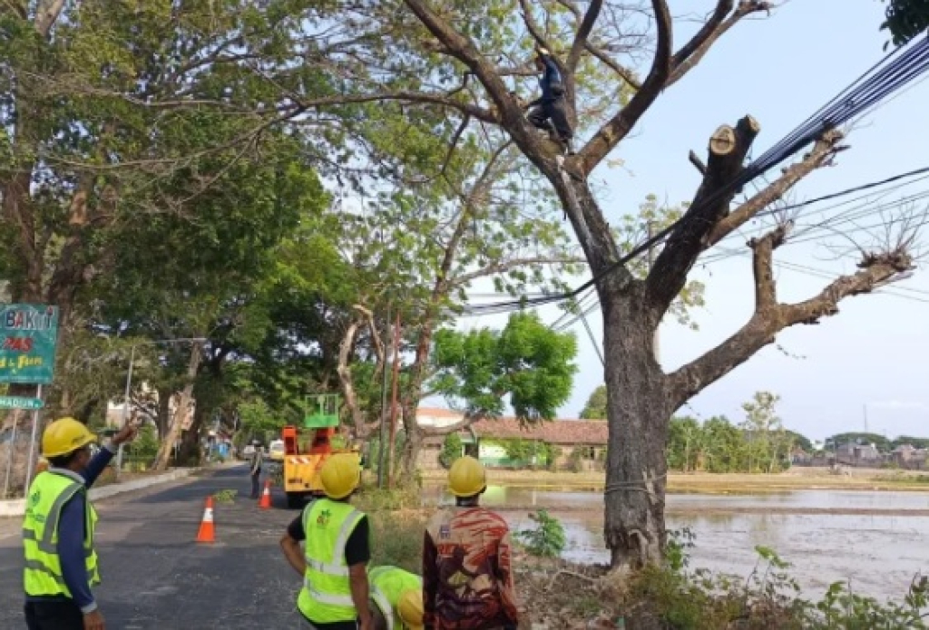 Petugas DLH Ponorogo melakukan pemangkasan pohon yang sudah mati. SP/IST