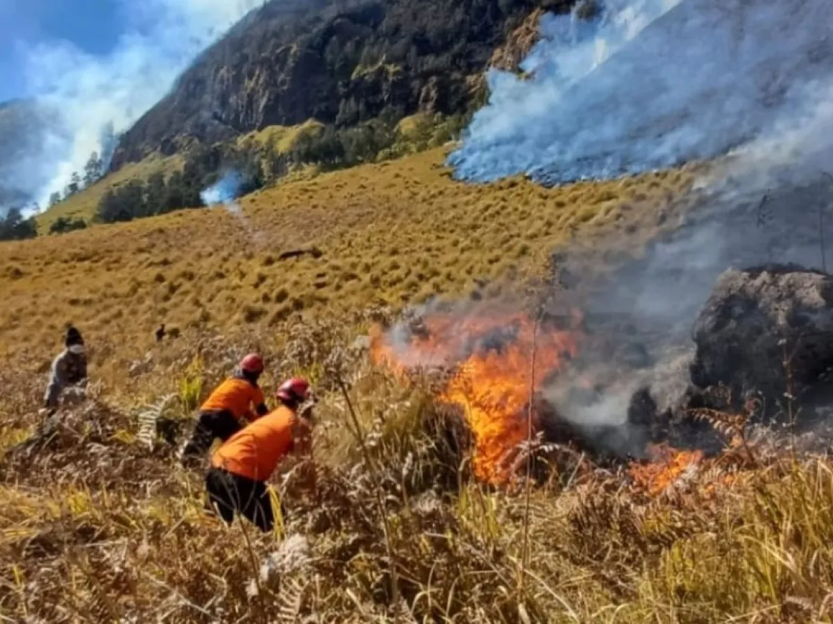 Jalur Malang-Lumajang Ditutup Sementara Imbas Meluasnya Karhutla Bromo