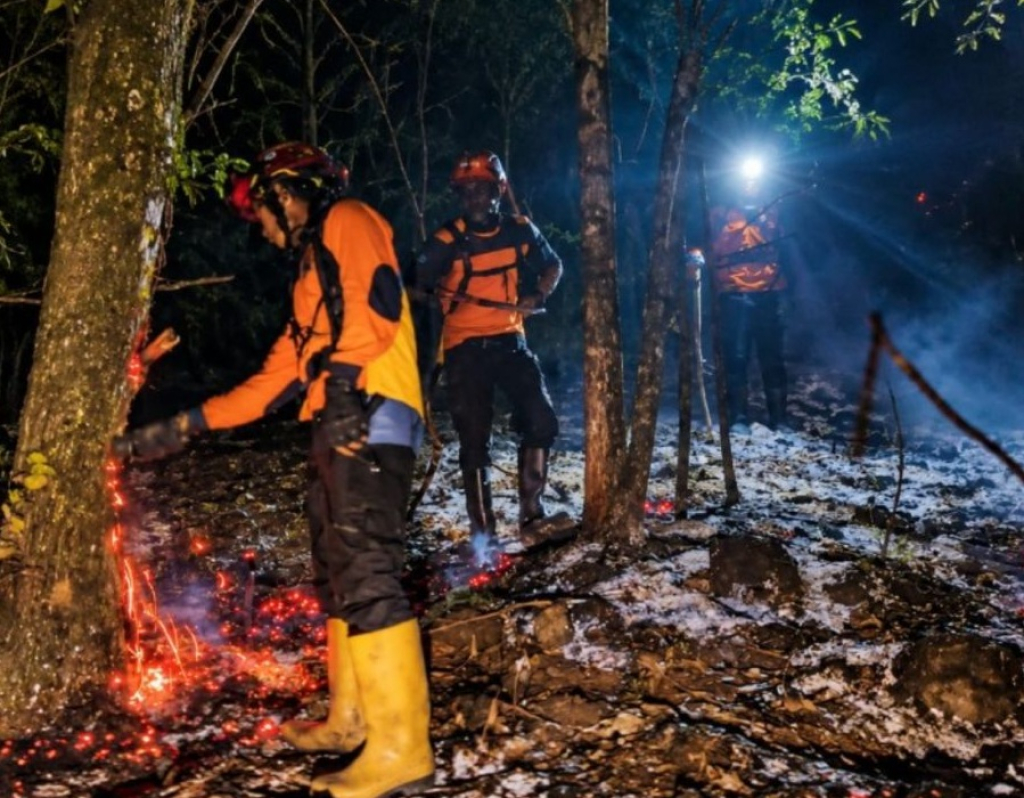 Petugas memadamkan kobaran api di lereng Gunung Lemongan.  SP/ LMJ