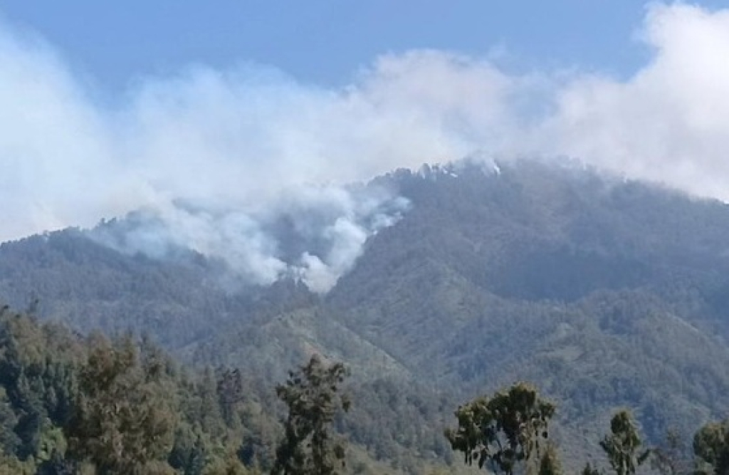 Kebakaran hutan di TNBTS Lumajang meluas hingga ke Kabupaten Malang. SP/MLG