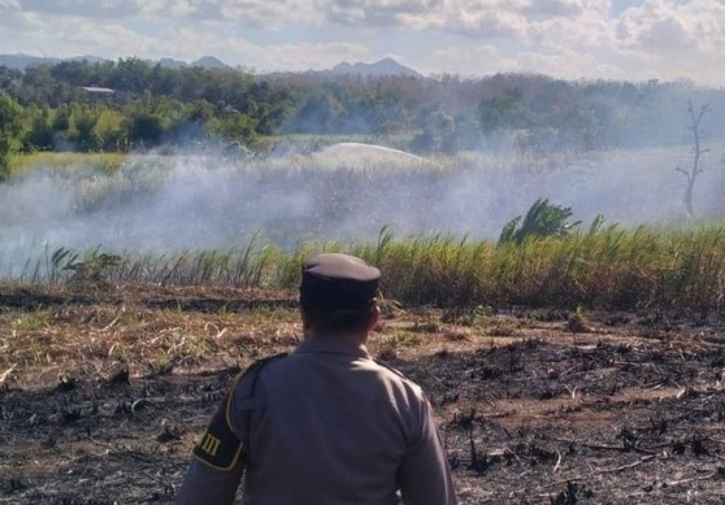 Kebakaran lahan tebu di Tulungagung gegara kotoran manusia. SP/ TLG