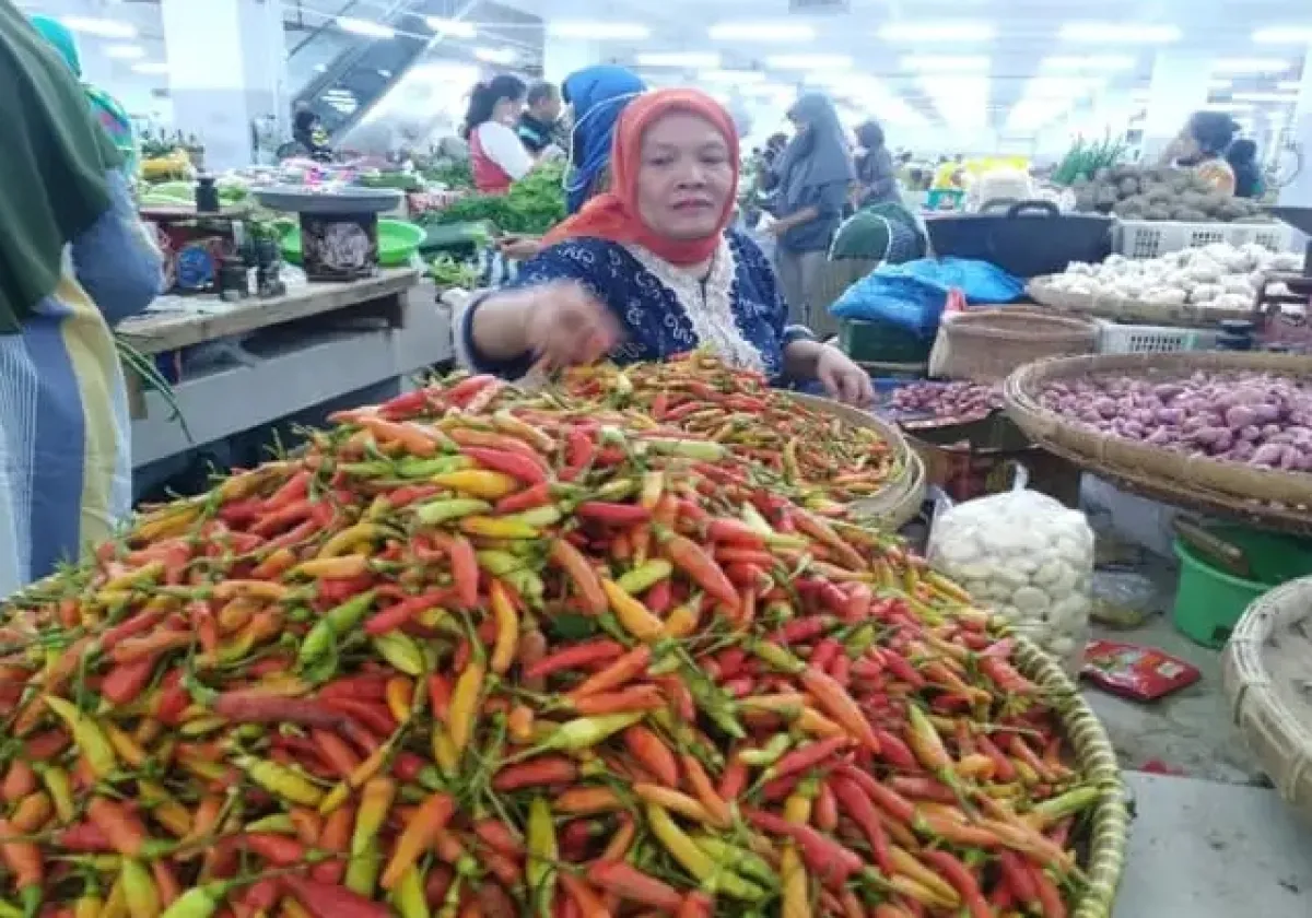 Stok Membusuk, Pedagang Ngeluh Cabai Rawit di Ponorogo Tembus Rp70 Ribu per Kg