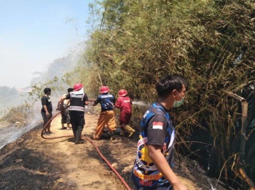 Petugas dari Tim Pemadam Kebakaran bersama BPBD Kabupaten Pamekasan melakukan pemadaman kebakaran pohon bambu. SP/PMK