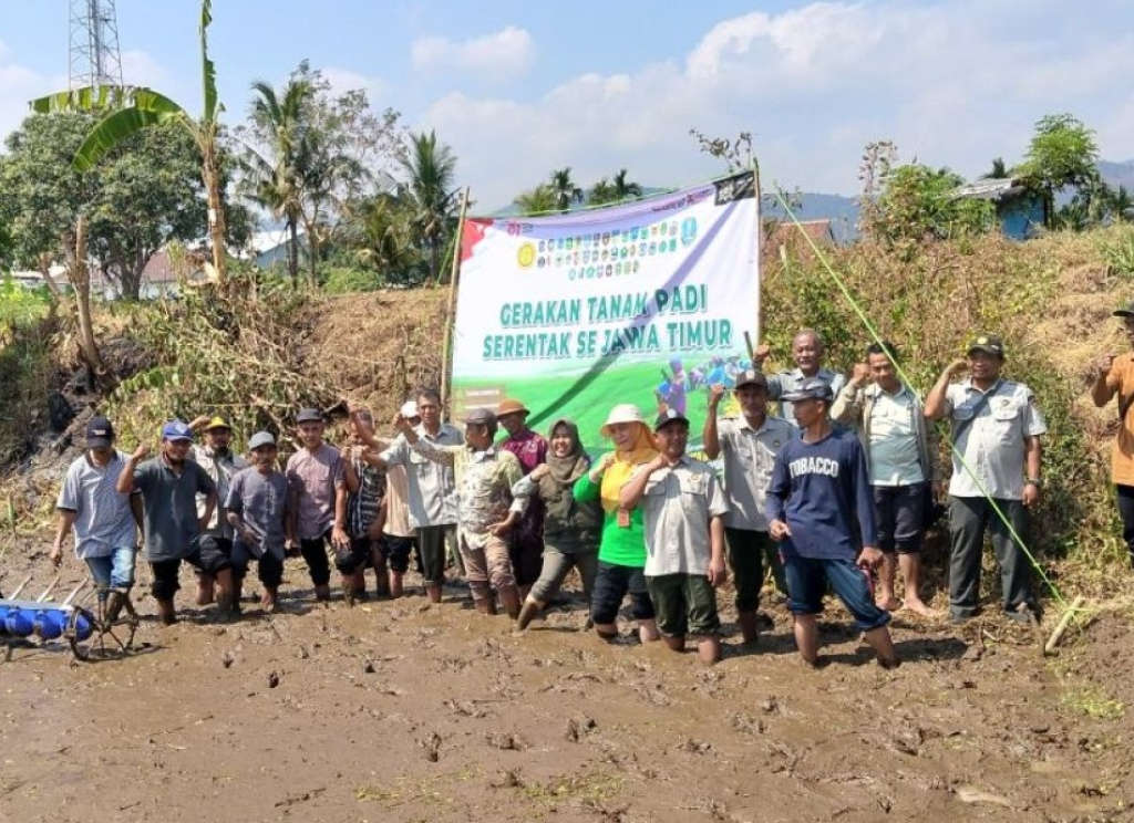 Kegiatan gerakan tanam padi Kelompok Tani yang berada di Kecamatan Gading, Kabupaten Probolinggo. SP/ PRB