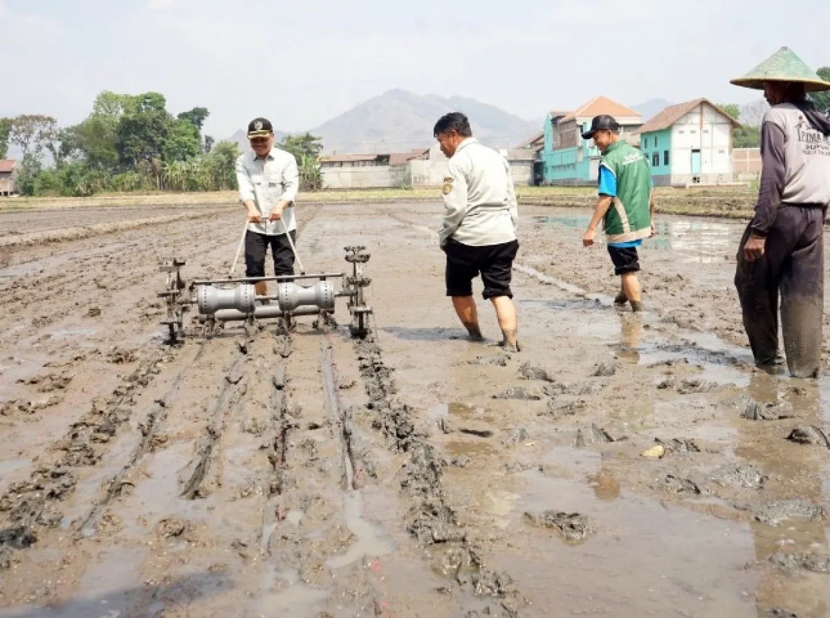 Tingkatkan Produksi Tanaman Pangan saat Kemarau, Pemkab Tulungagung Terapkan ‘Tabela’