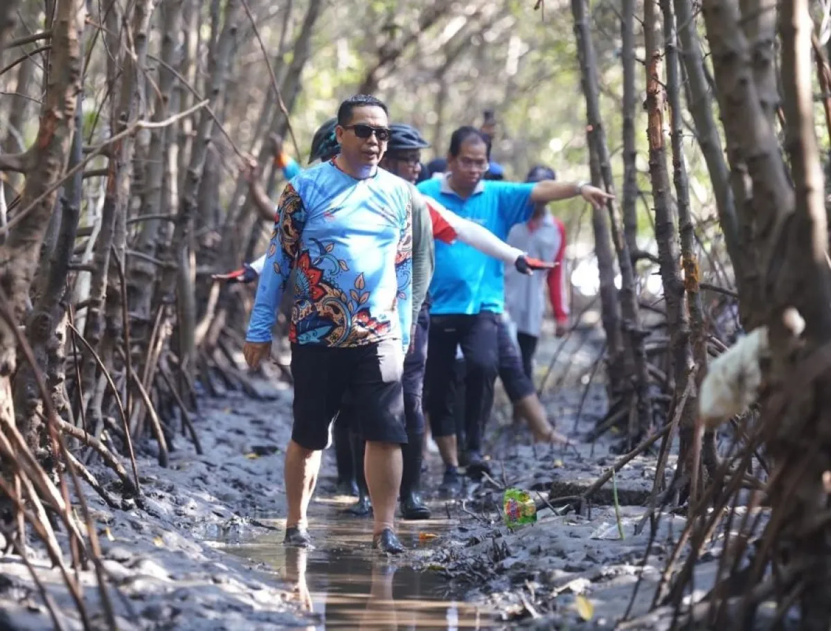 Lewat Pengembangan Ekowisata Mangrove, Pemkot Probolinggo Dongkrak Ekonomi Daerah