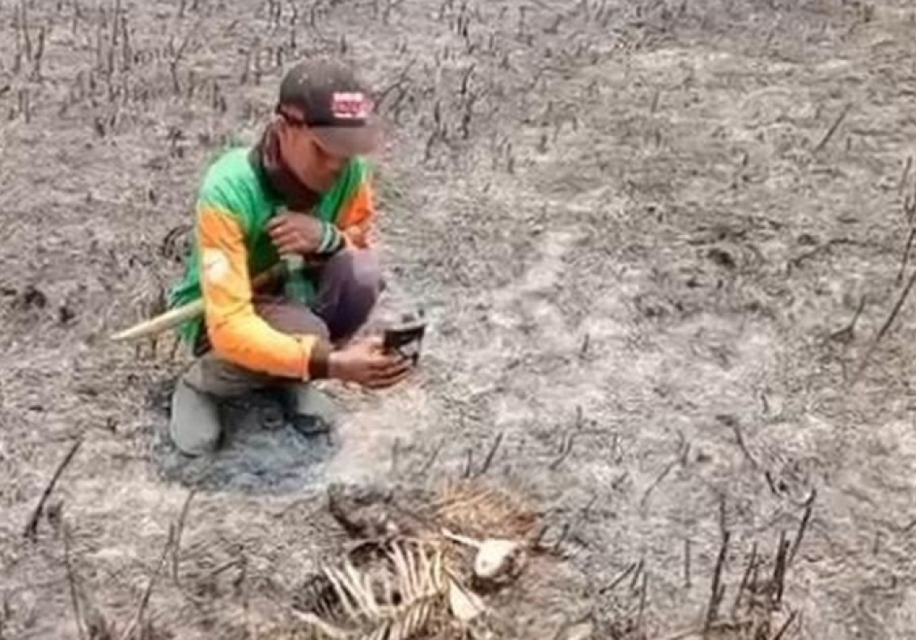 Petugas menemukan tulang belulang hewan mati terbakar saat karhutla TNBTS. SP/LMJ
