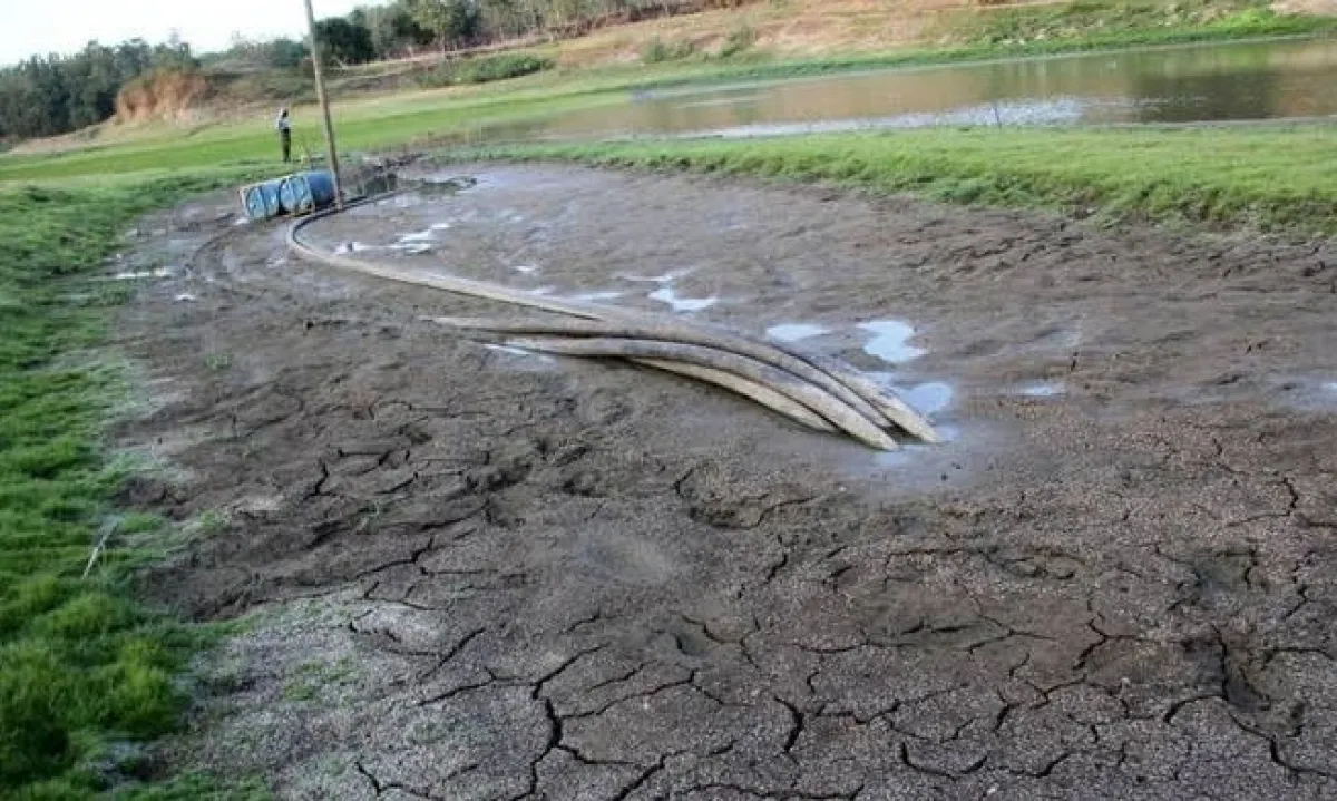 Kemarau Panjang, Volume Debit Embung di Jombang Terus Menerus Menurun