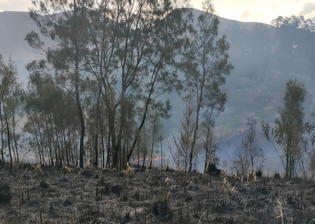 Kebakaran lahan melanda kawasan Kawah Wurung, Kabupaten Bondowoso, Jawa Timur. SP/ BDW