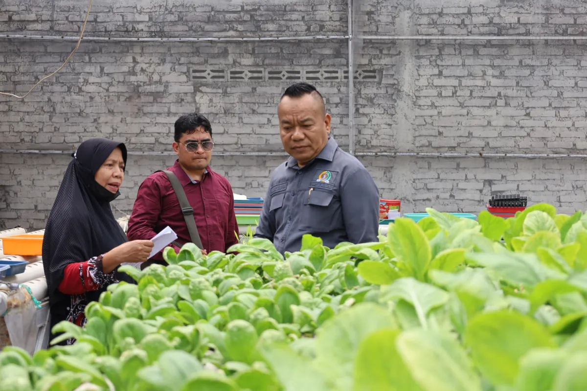 Baca juga : Perkuat Ketahanan Pangan Berbasis Lingkungan, Ketua Komisi A Dorong Pengembangan Urban Farming