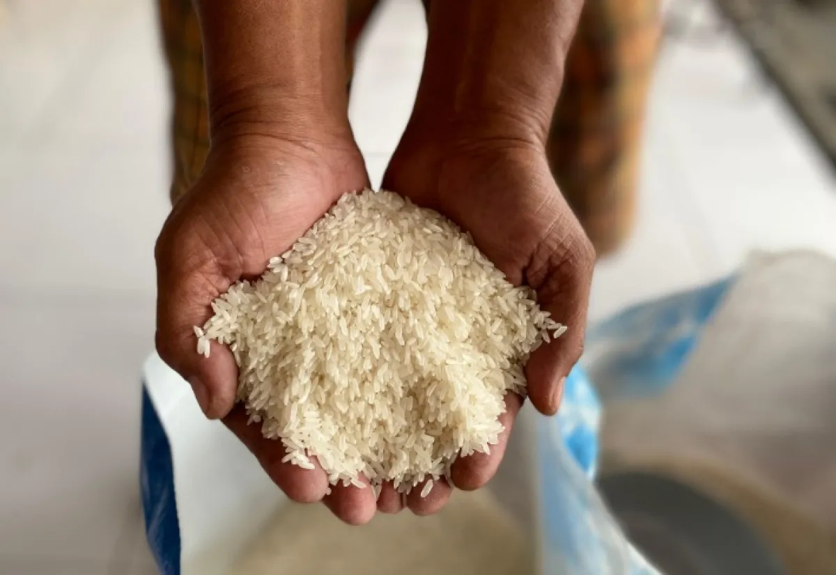 Harga Komoditas Beras Medium di Jombang Naik Tembus Rp14 Ribu Per Kilogram