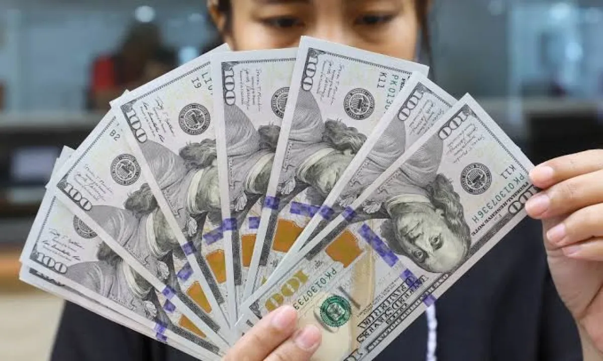 BI, Batasi Pembelian Dolar AS